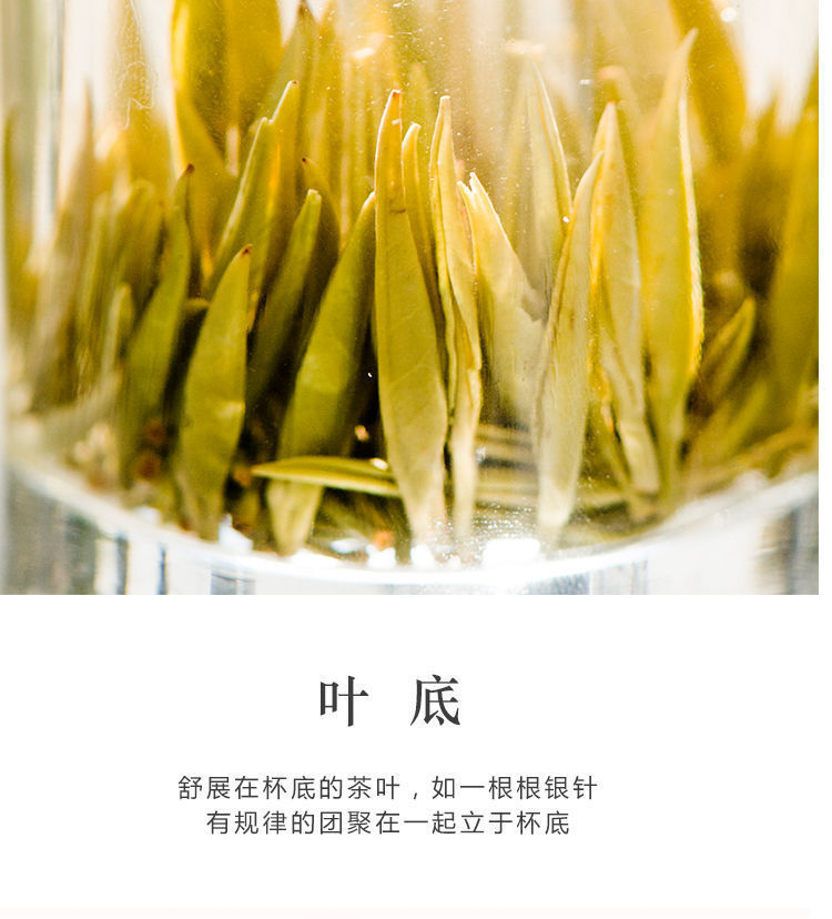 Junshan Silver Needle Pre-ming Dynasty New Tea Yellow Bud Tea Premium Tin 50g