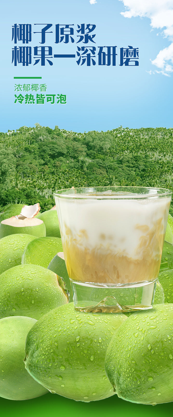 Premium Coconut Powder – For Drinks, Baking & Desserts (500g)