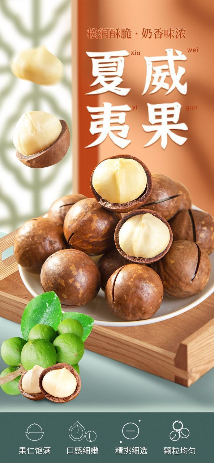 New Macadamia Nuts | Milk Flavor, Large Size, With Shell Opener, Snack