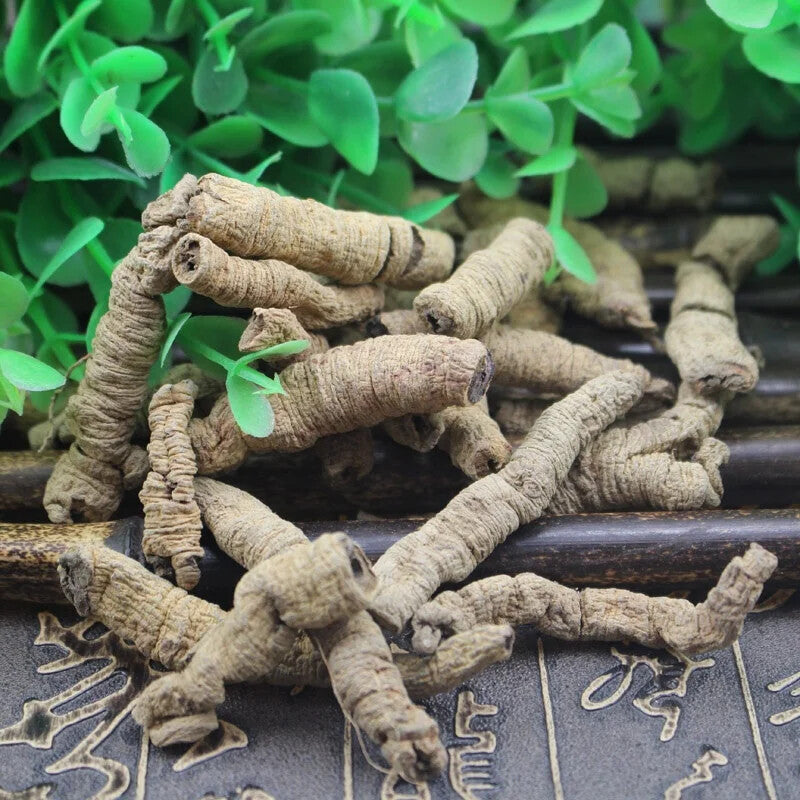 Hot Sell Tradition Chinese Herbal Medicine Morinda Officinalis Root 250g