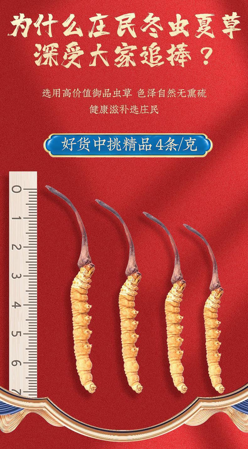 Cordyceps Sinensis Plump and Non-breaking Grass 4 Pieces/g Dong Chong Xia Cao