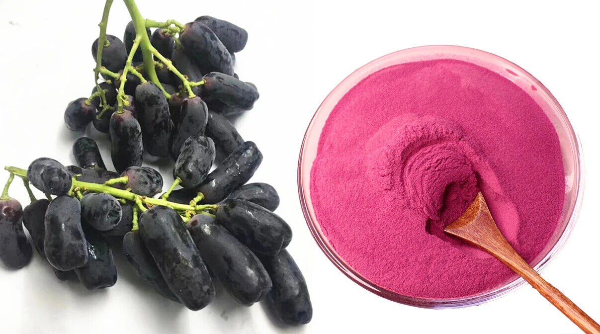 Best Quality Organic Black Currant Fruit Powder with Free Sample 250g