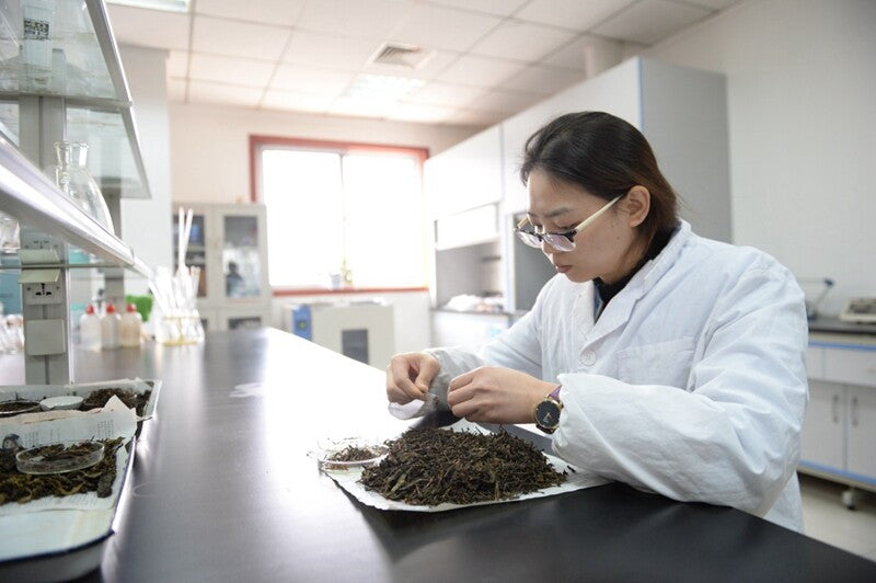 Ripe Puer Tea Haiwan 2018 Chinese Puer Tea 7578 Batch 181 Ripe Pu Erh Cake 357g