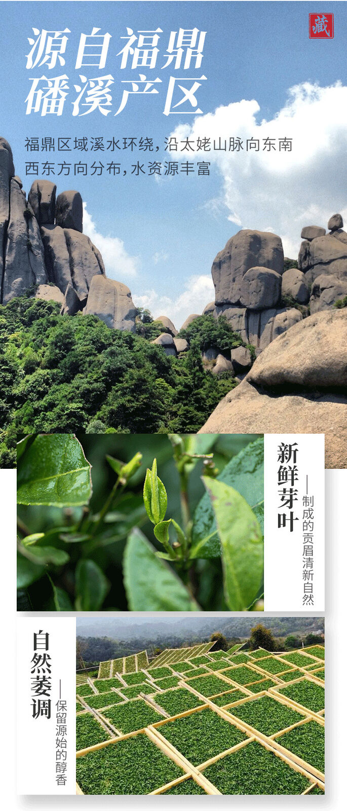 HelloYoung Fuding white tea cake fragrance gongmei shoumei Panxi old white tea cake