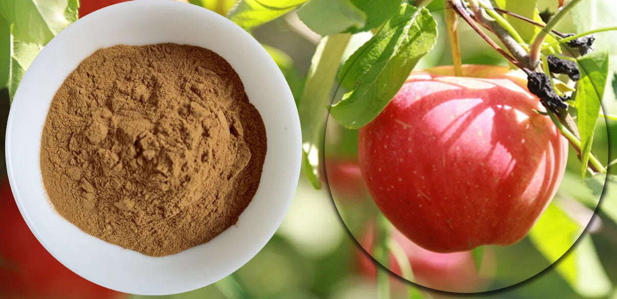 250g Apple Peel Extract Organic Apple Polyphenol Apple Peel Extract Powder
