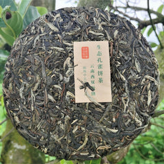 357g Brown Mountain Old Tree Pu'er Tea Zhonghong India Laobanzhang Raw Tea