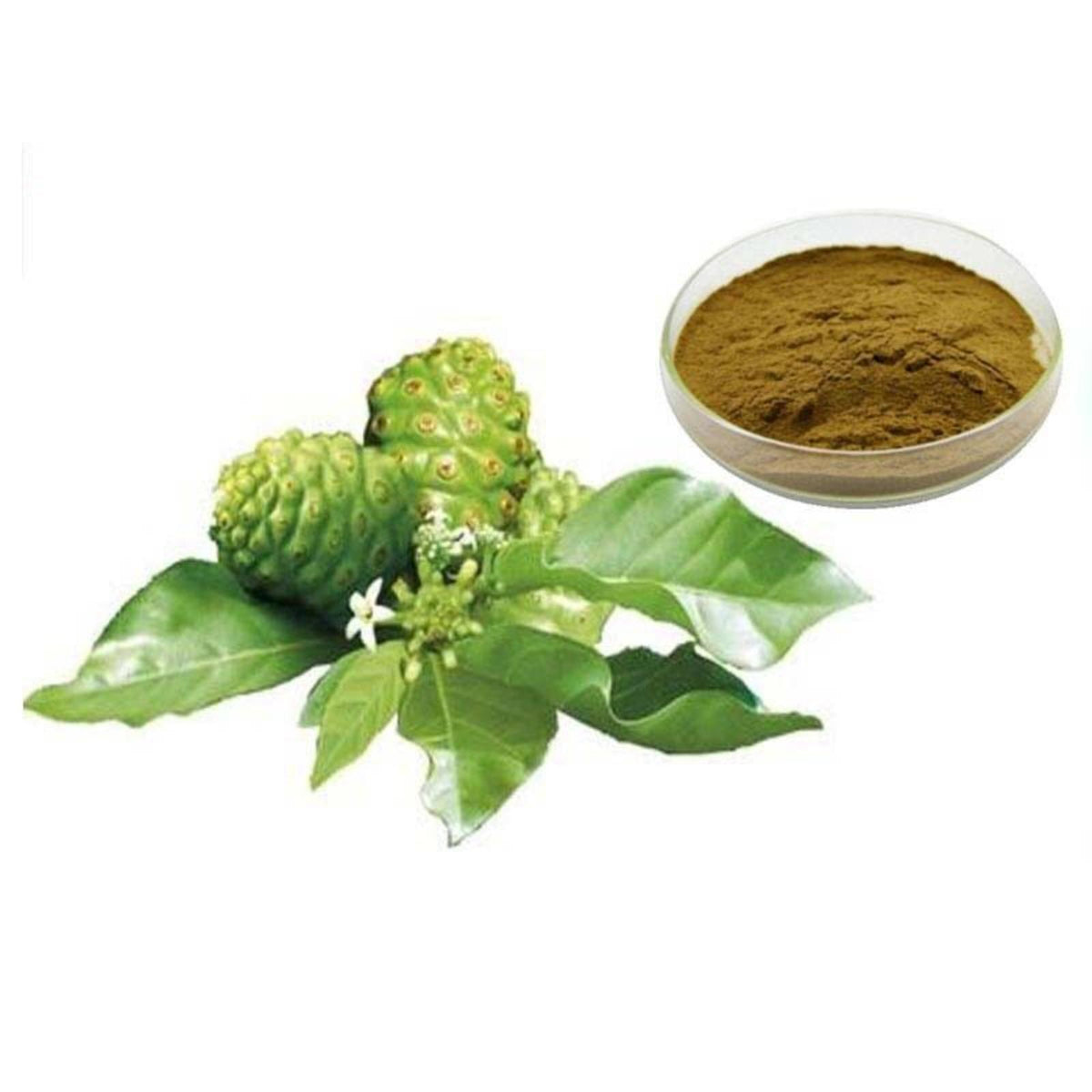 100g Noni Extract 10:1 Powder | Morinda Citrifolia for Weight Loss & Energy