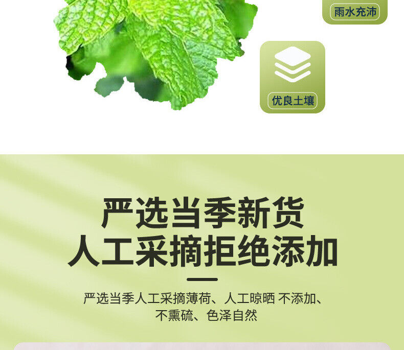50g Minze Tee Kräutertee Frucht Tee Minze Blatt Kühler Tee Pfefferminze Lose Tee