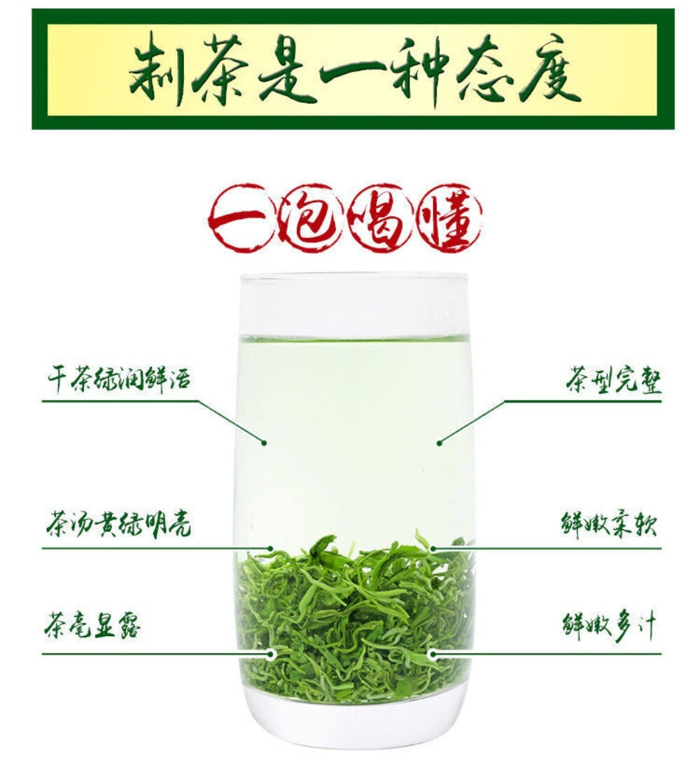 Premium Bi Luo Chun Green Tea 125g Canned High Mountain Fresh Smooth