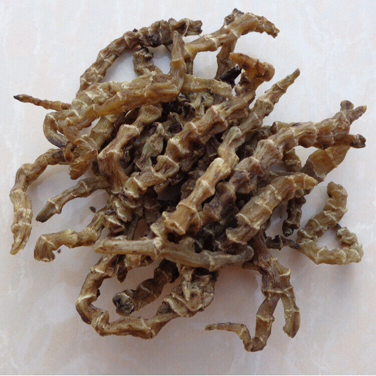 HelloYoung Herbal Medicine Ground Ginseng Cordyceps Ginseng Cordyceps Ginseng Male 500g