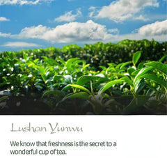 Wild Lushan Yunwu Green Tea - April Wind A Fog-Clouded Chinese Tea 100g
