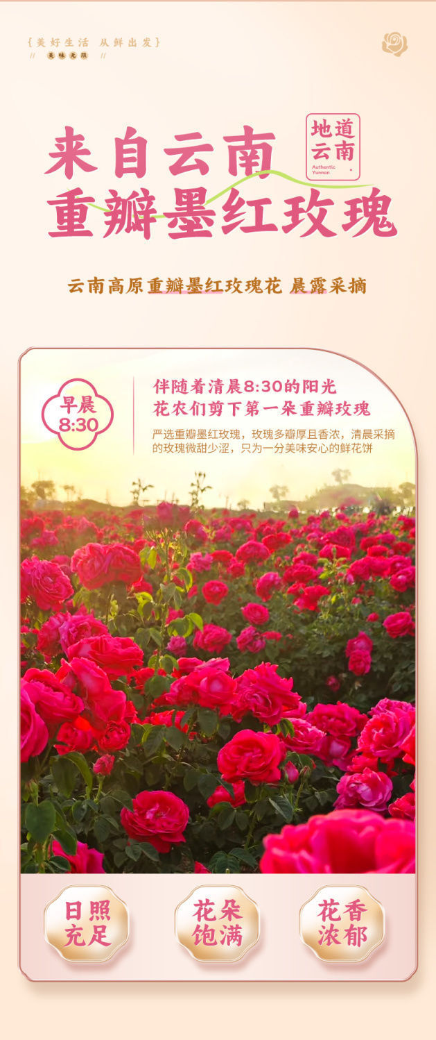 Yunnan Rose Flower Cake – Fresh Rose Pastry Gift Box, Snack Dessert