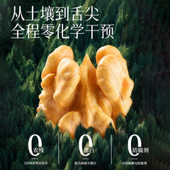 Organic Raw Walnuts – Fresh Shelled, No Additives