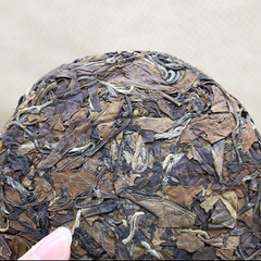 Alpine Sun Date White Tea Fuding White Tea 100g*3 Shou Mei Tea Cake