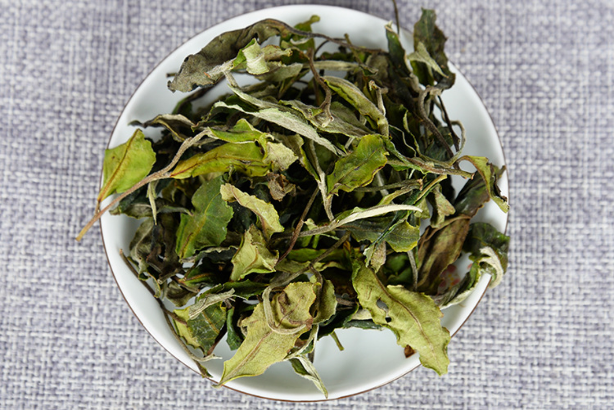 HelloYoung 500g Yunnan white tea early spring ancient Fuding white tea process white tea
