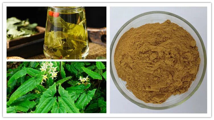 High Quality Epimedium Extract Powder with Free Sample 250g