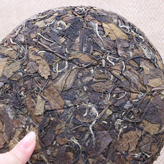 HelloYoung Healthy Drink Natural White Tea Cake Top Jujube 350g White Tea Lose Weigh