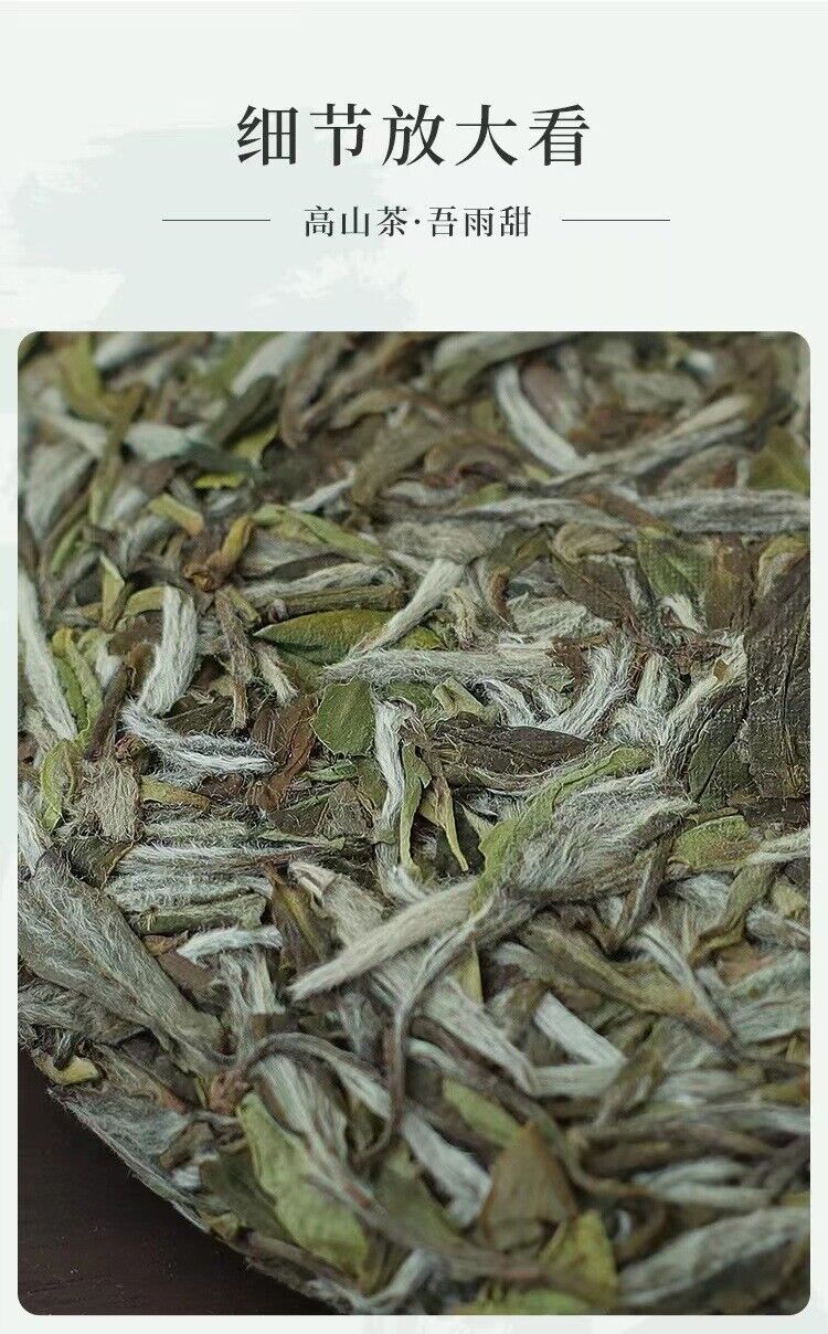 HelloYoung 100g Fuding High Mountain Sunlight White Tea White Peony Tea Cake Floral Aroma