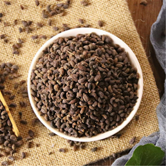 100% Natural Ligustri lucidi Fructus Nv Zhen Zi 女貞子 Organic Herb
