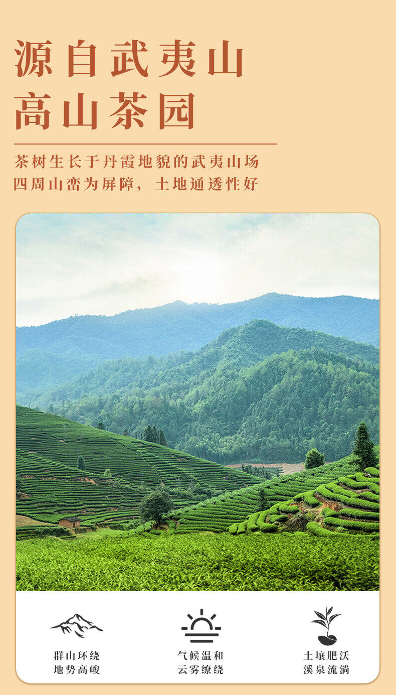 HelloYoung Da Hong Pao Oolong Tea Rock Tea Wuyishan Tea Gift Boxed Strong Fragrance