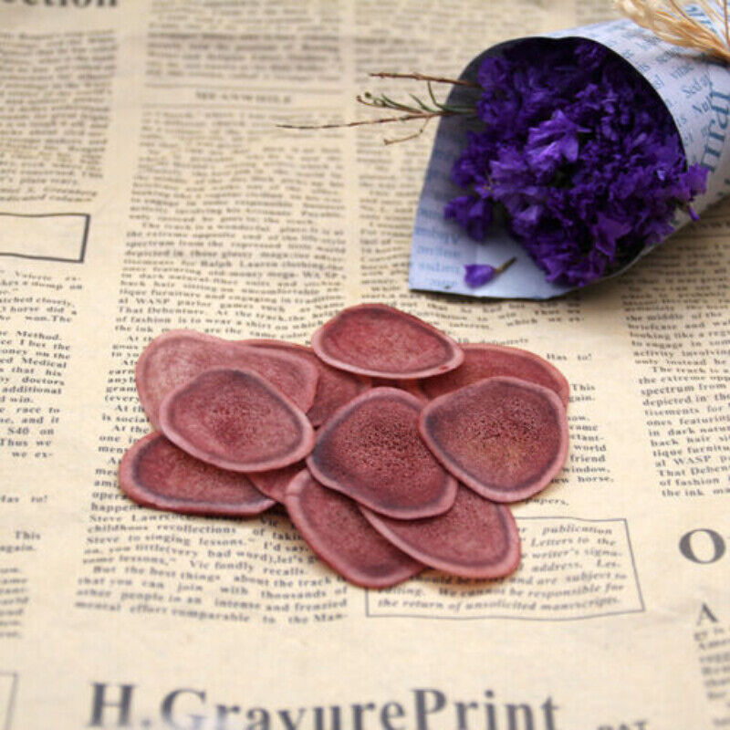High Quality Cartialgenous Slices Lu Rong Herb for Men Chinese Herbal Medicine