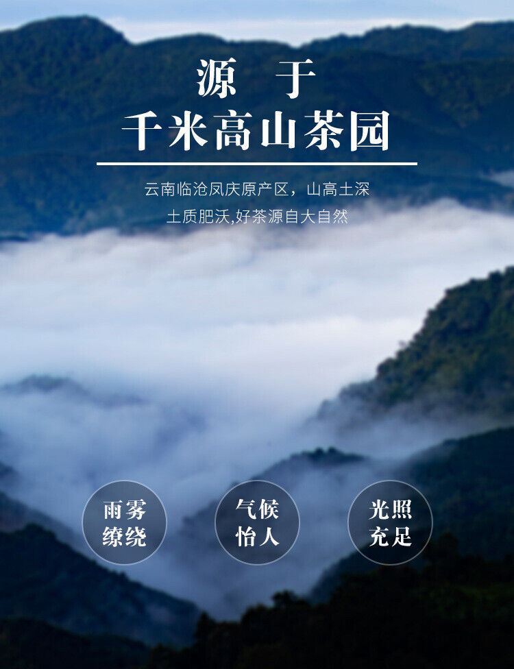 HelloYoung Yunnan Fengqing DianHong tea Pine Needle Un bourgeon une feuille Golden Needle