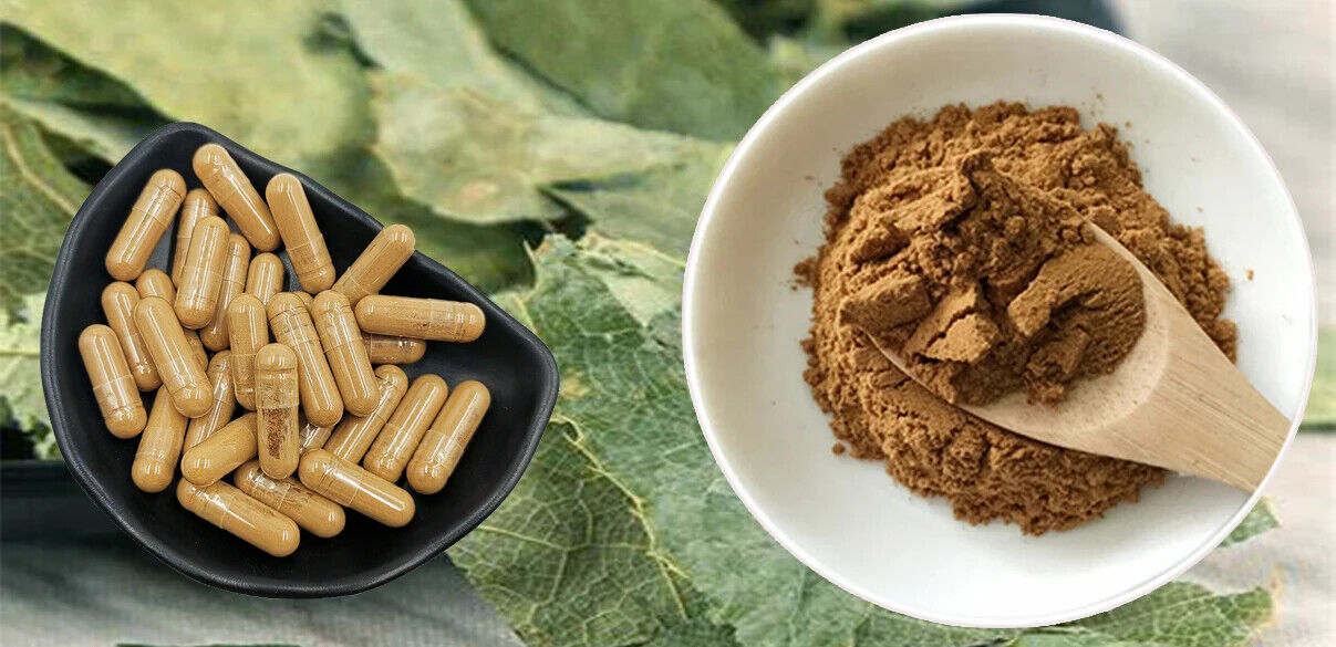 High Quality Epimedium Extract Powder with Free Sample 250g