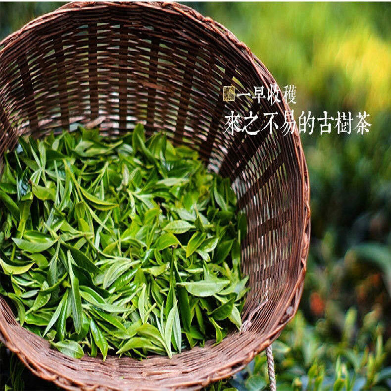 330g Ripe Organic Cooked Puer Tea Shu Pu-erh Tea Factory Direct Green Food Tea 茶