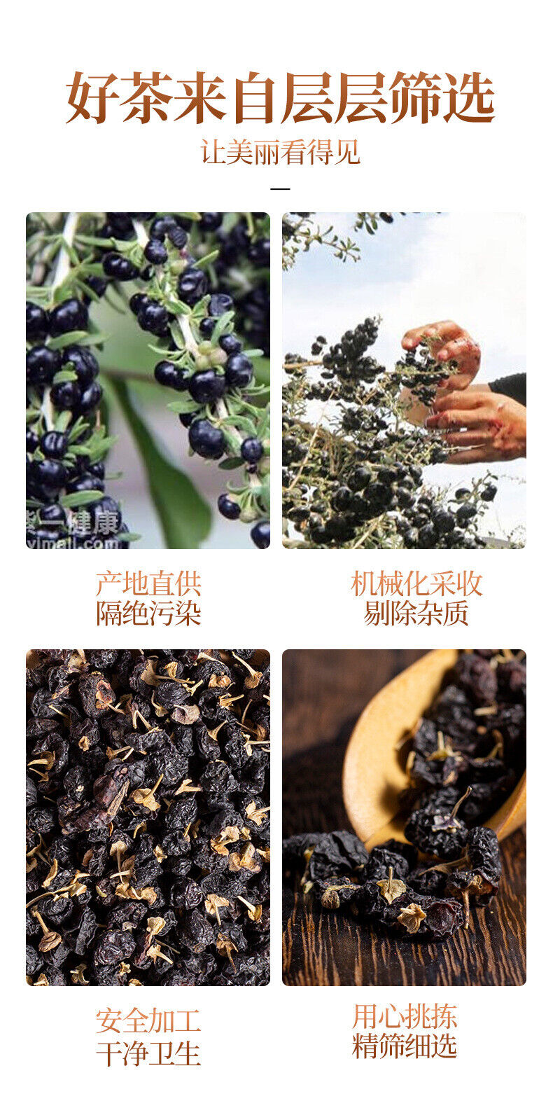 100g  Healthy Drink Qinghai Black Wolfberry 100g青海黑枸杞