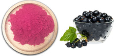 Best Quality Organic Black Currant Fruit Powder with Free Sample 250g