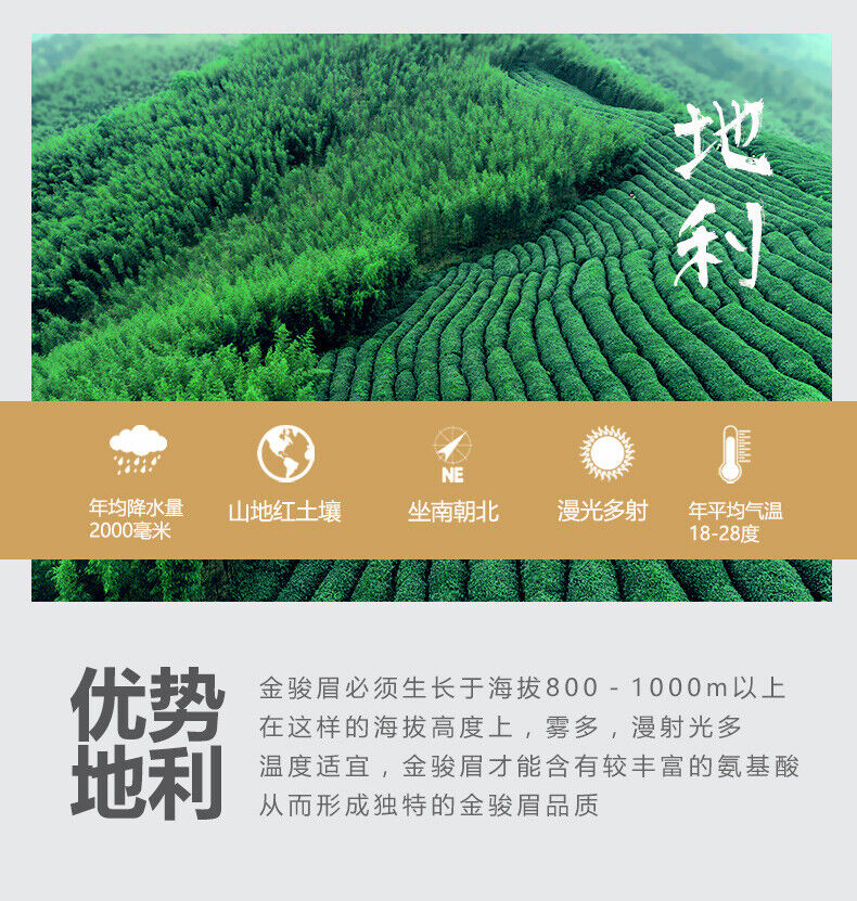 HelloYoung Liubei Jinjunmei Black Tea Honey Aroma Type Wuyishan Tongmuguan New Tea 125g
