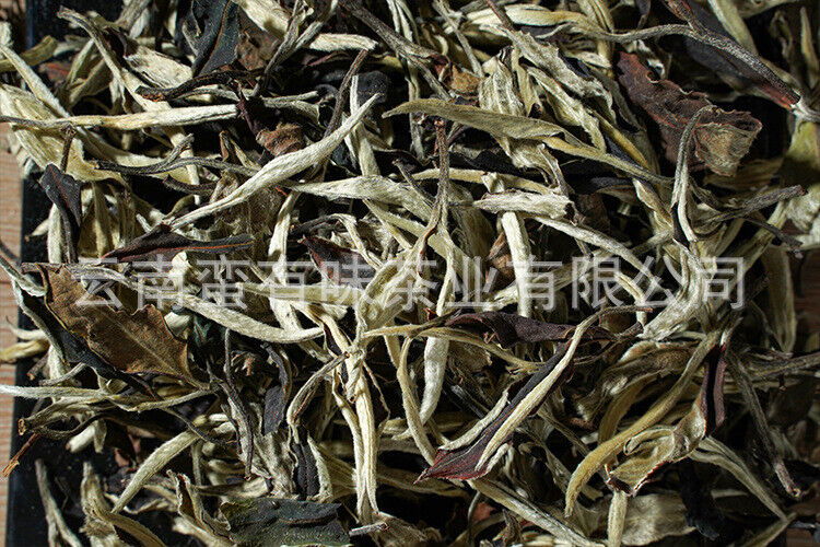HelloYoung 500g Yunnan Jinggu Yangta Ancient Tree White Tea One Bud One Leaf Scattered Tea