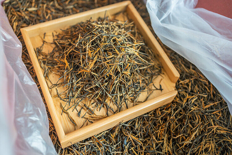 HelloYoung Yunnan Fengqing DianHong tea Pine Needle Un bourgeon une feuille Golden Needle
