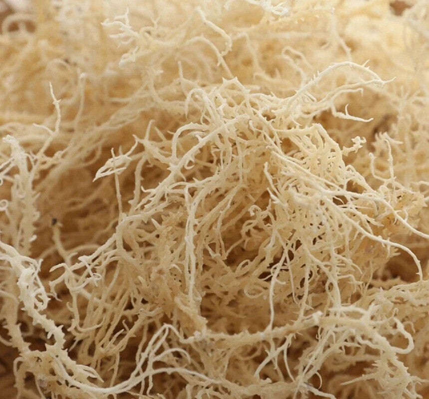 500g Bio Irisches Seemoos – Roh, Vegan & Non-GMO Getrocknete Algen