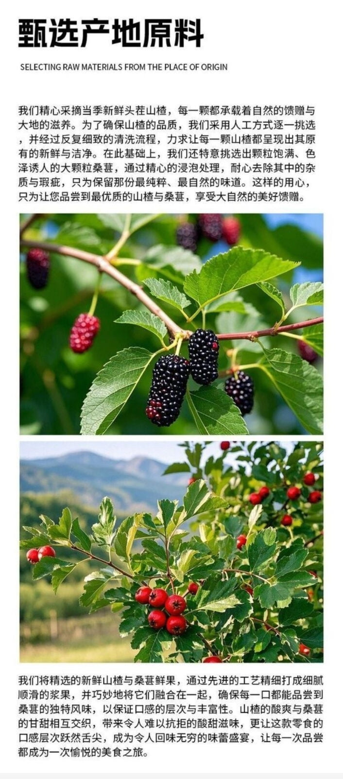 Mulberry Hawthorn Strips 502g Natural Fruit Candies Healthy Snack