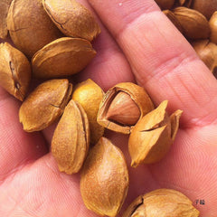 White almond nut hand peeled thin shell casual snack original flavor