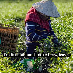 Oolong Taiwan Tea Taiwan Natural Organic Milk Oolong Tea Health Care 250g