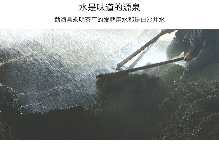 357g Tianmen Mountain High-stem Ancient Tree Ripe Pu'er Tea Fragrant and Mellow