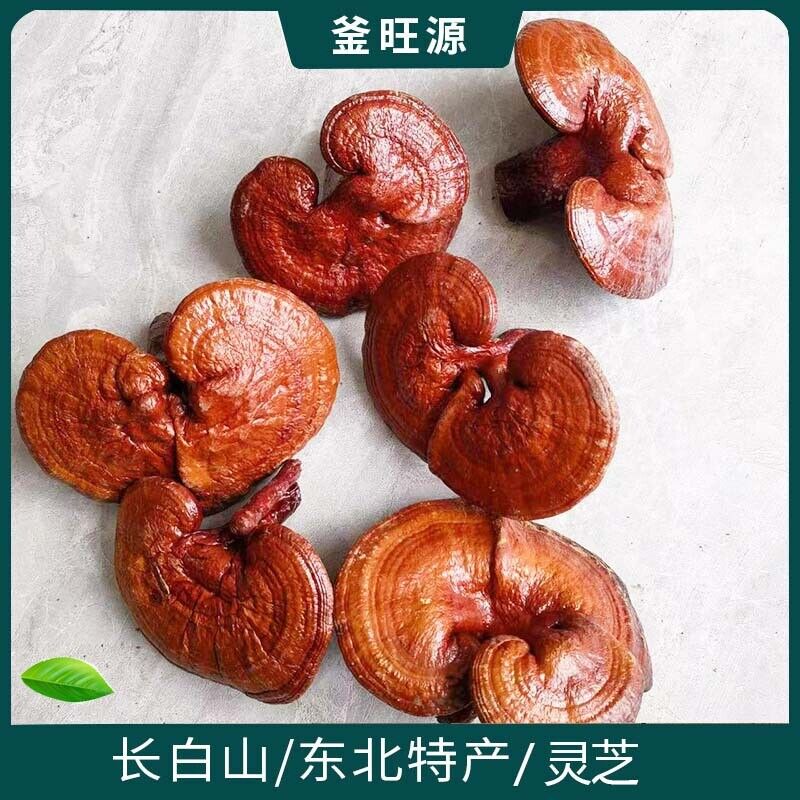 Changbai Mountain Ganoderma Lucidum Red Lingzhi Purple Lingzhi Edible Fungi 500g