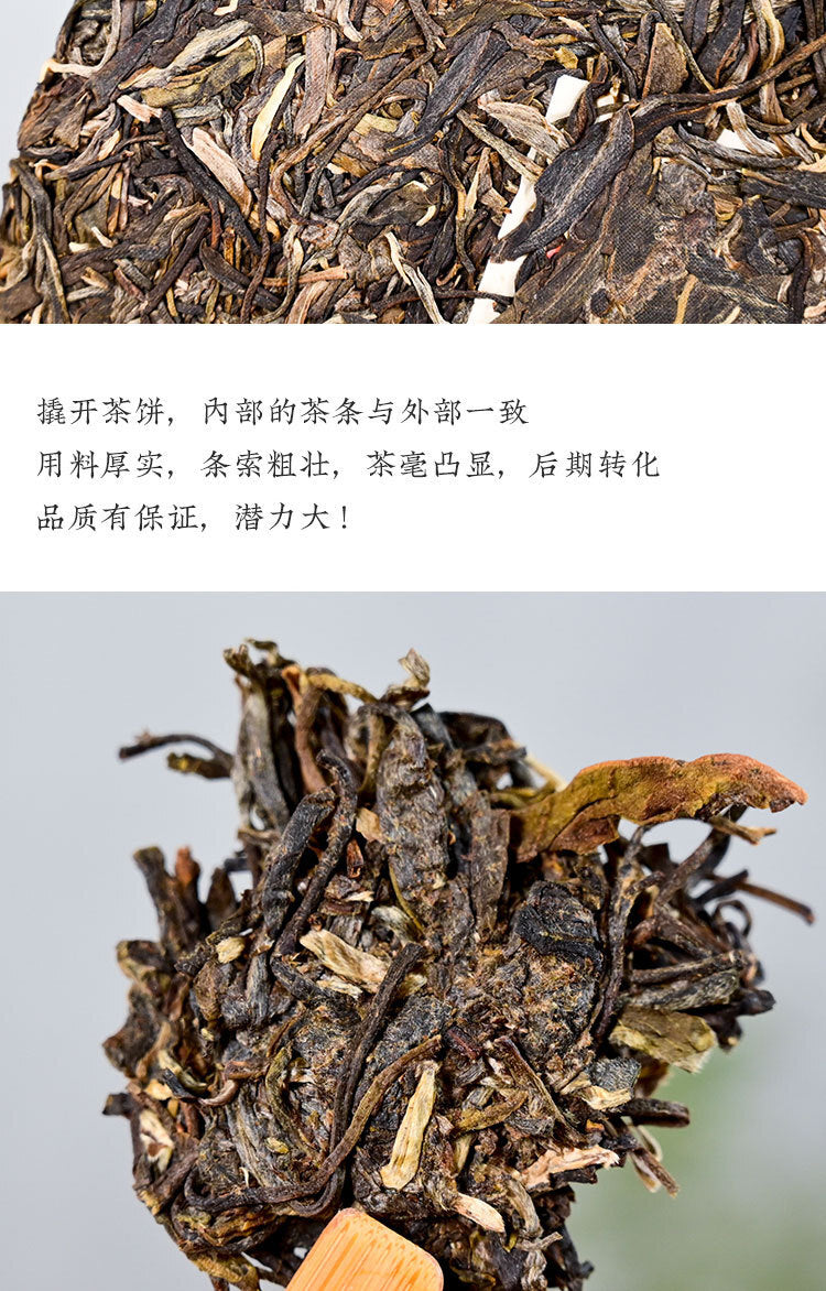 357 g Daxueshan Ancient Tree Pu'er Tea Raw Tea Yunnan Pu'er Tea Spring Tea