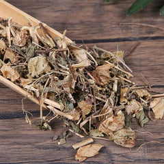 Organic Herbal Physalis Peruiana Herb of Cape-gooseberry Denɡlonɡcao Healthy Tea