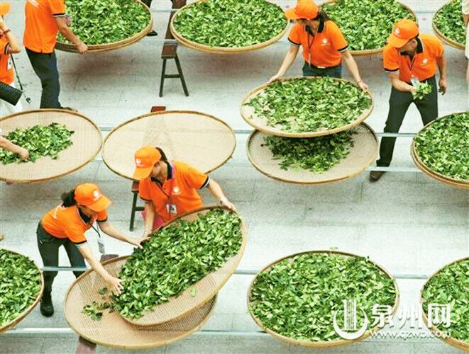 357g Yunnan Ripe Pu-Erh Organic Puerh Tea Cake Weight Loss Black Tea Chinese Tea