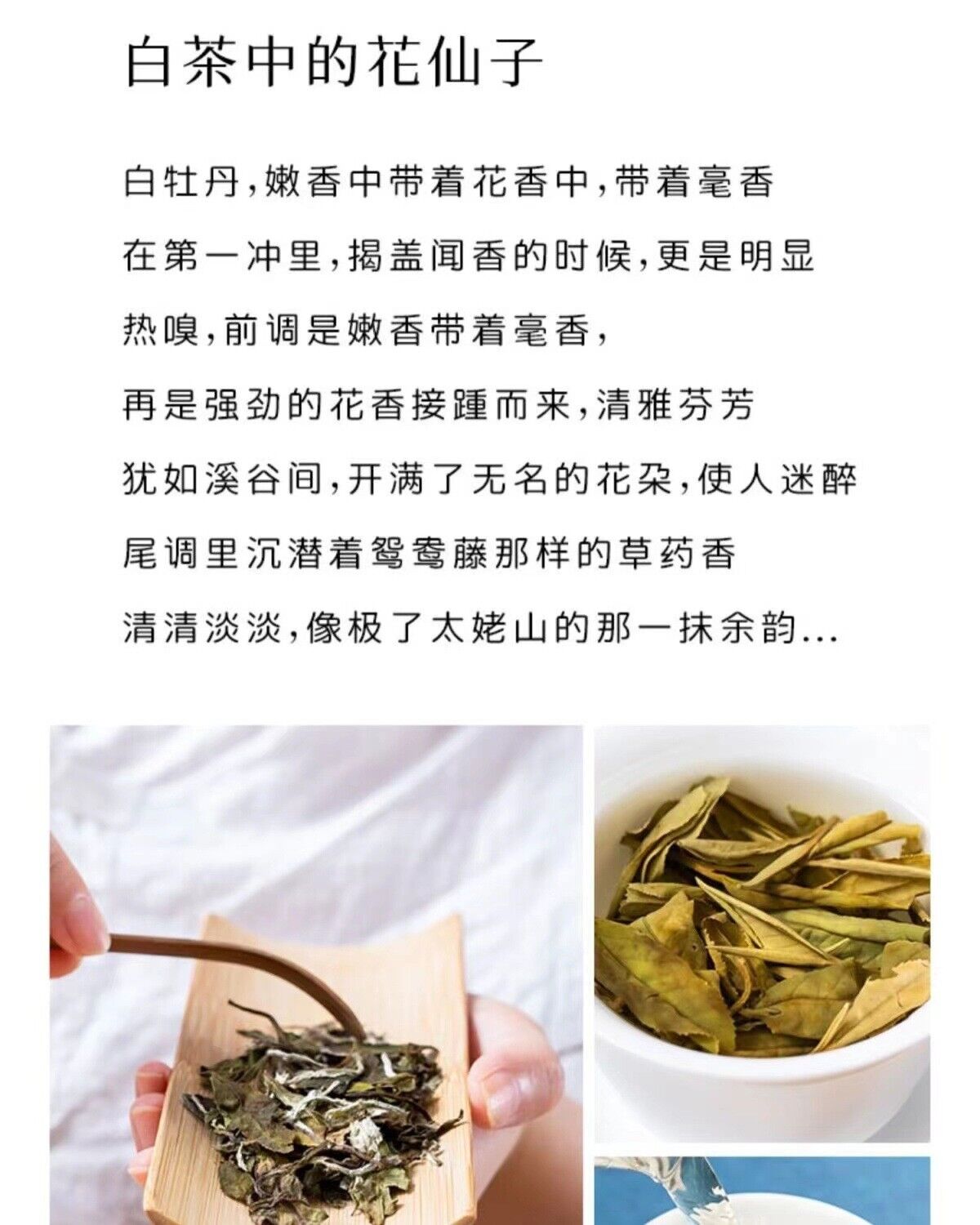 HelloYoung 300g Fuding White Tea Peony King Old White Tea Cake High Mountain Aged Wild Tea