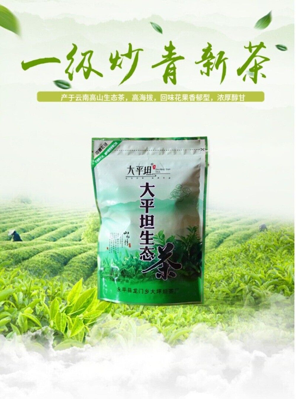 2025 Premium Bi Luo Chun Green Tea 100g Ecological High Mountain Sweet Aroma