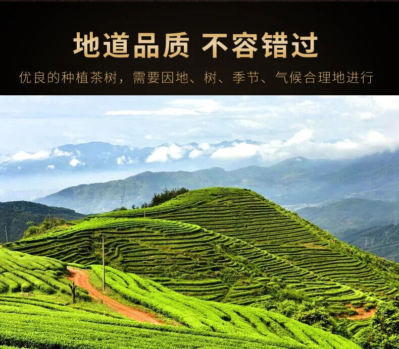 HelloYoung Taiwan Ginseng Oolong Tea Strong Flavor Frozen Top Oolong Tea Health Tea 300g
