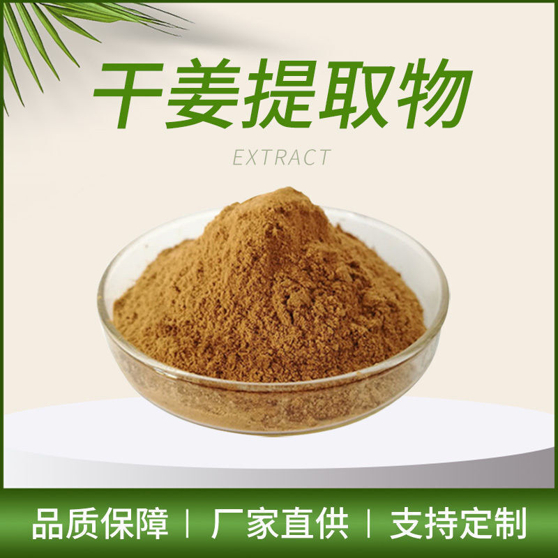 100g Dried Ginger Extract Powder Water Soluble | Warming Herb | Vegan