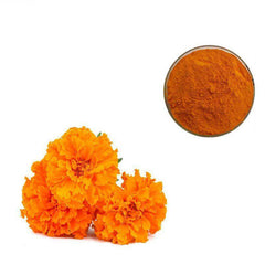 100g Marigold Extract Powder, 20% Lutein & Zeaxanthin, Eye Health, Antioxidant