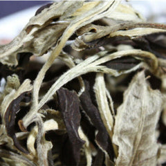 100g Yunnan Jing Gu Puer Moonlight White Buds Pu'er Puerh Loose Leaf Tea Raw