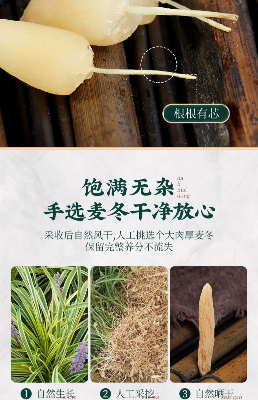 125g Mai Dong Bottled Ophiopogon Japonicus Tea Authentic Ophiopogon Japonicus