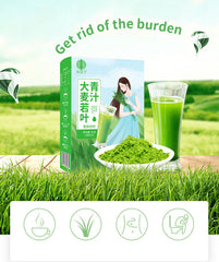 Barley Green Juice High Dietary Fiber Probiotic Green Juice Powder 45g 3g*15bags